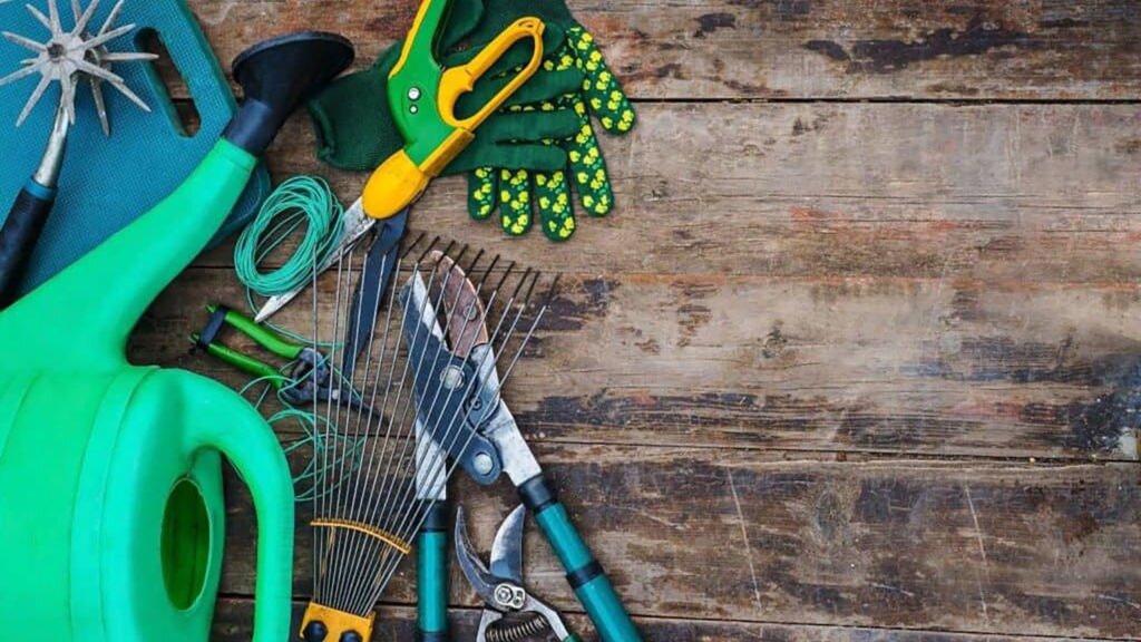 Onkruid vergaat wél met deze onkruid verwijderaars