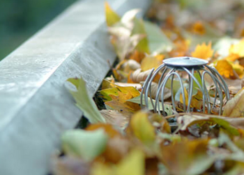 Vallende bladeren en verstopte afvoeren; het is weer herfst! 
